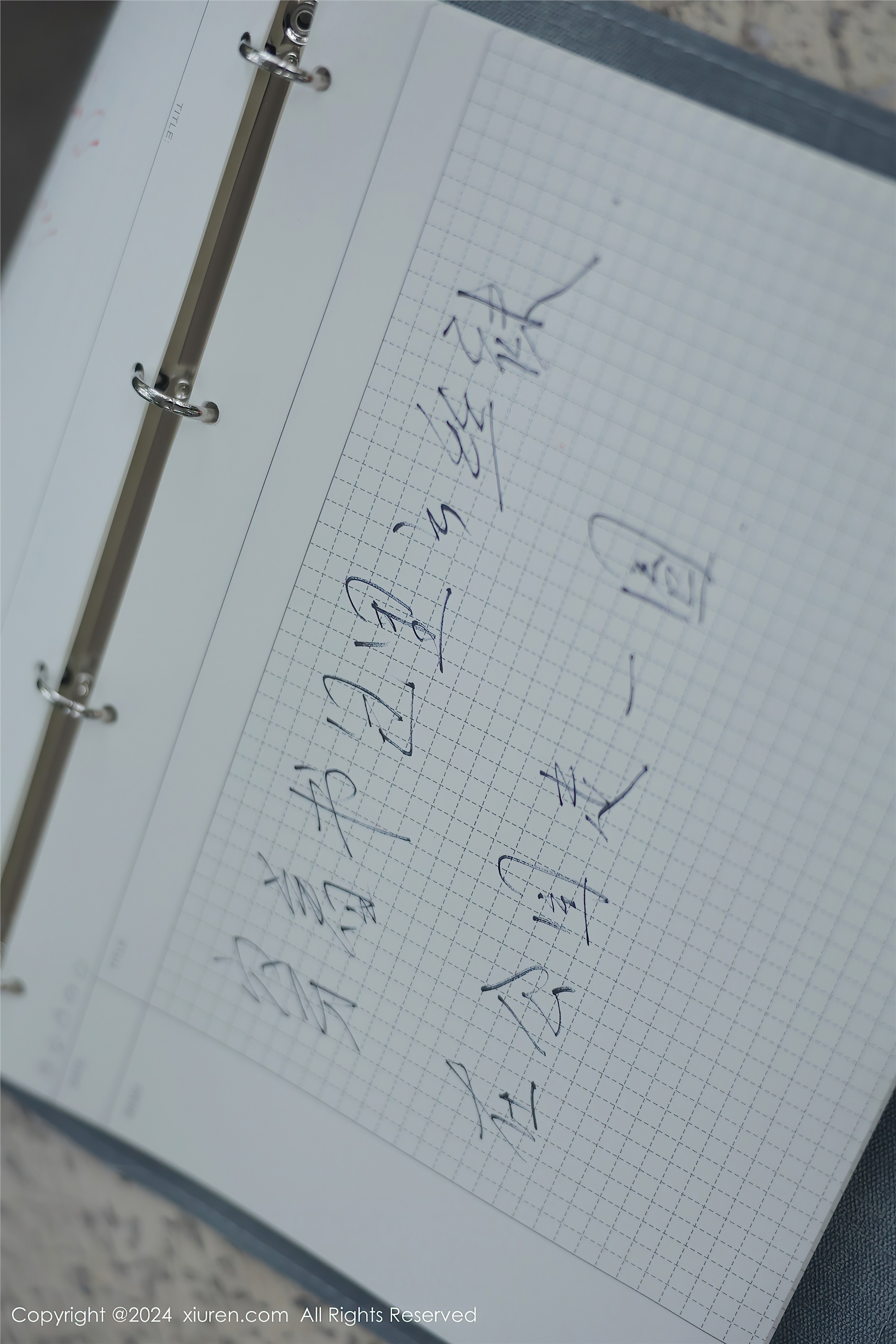 Xiuren秀人网 2024.04.02 NO.8335 小薯条nienie